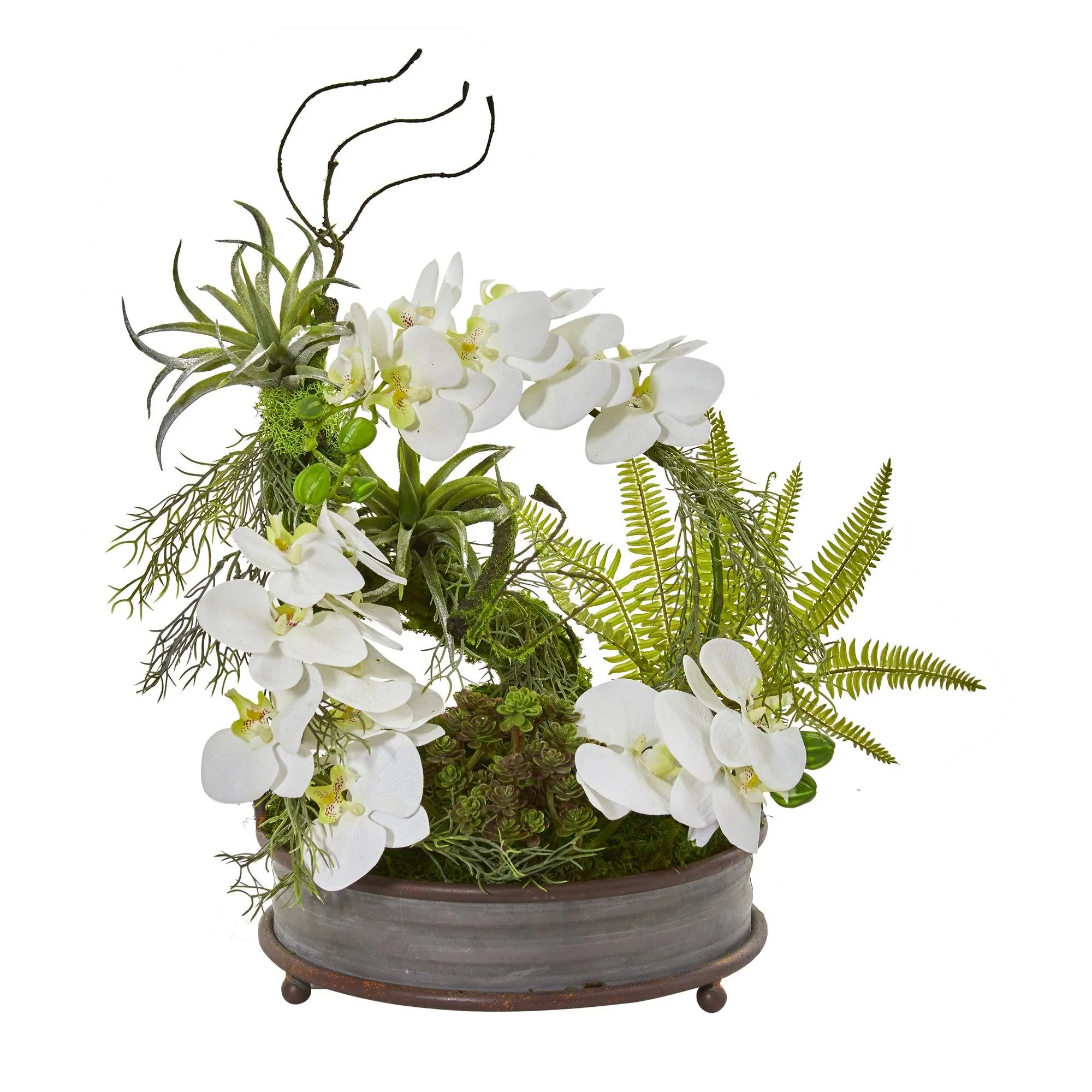 21” Phalaenopsis Orchid, Succulent and Fern Artificial Arrangement in Metal Tray