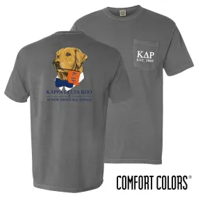 KDR Comfort Colors Retriever Flag Tee