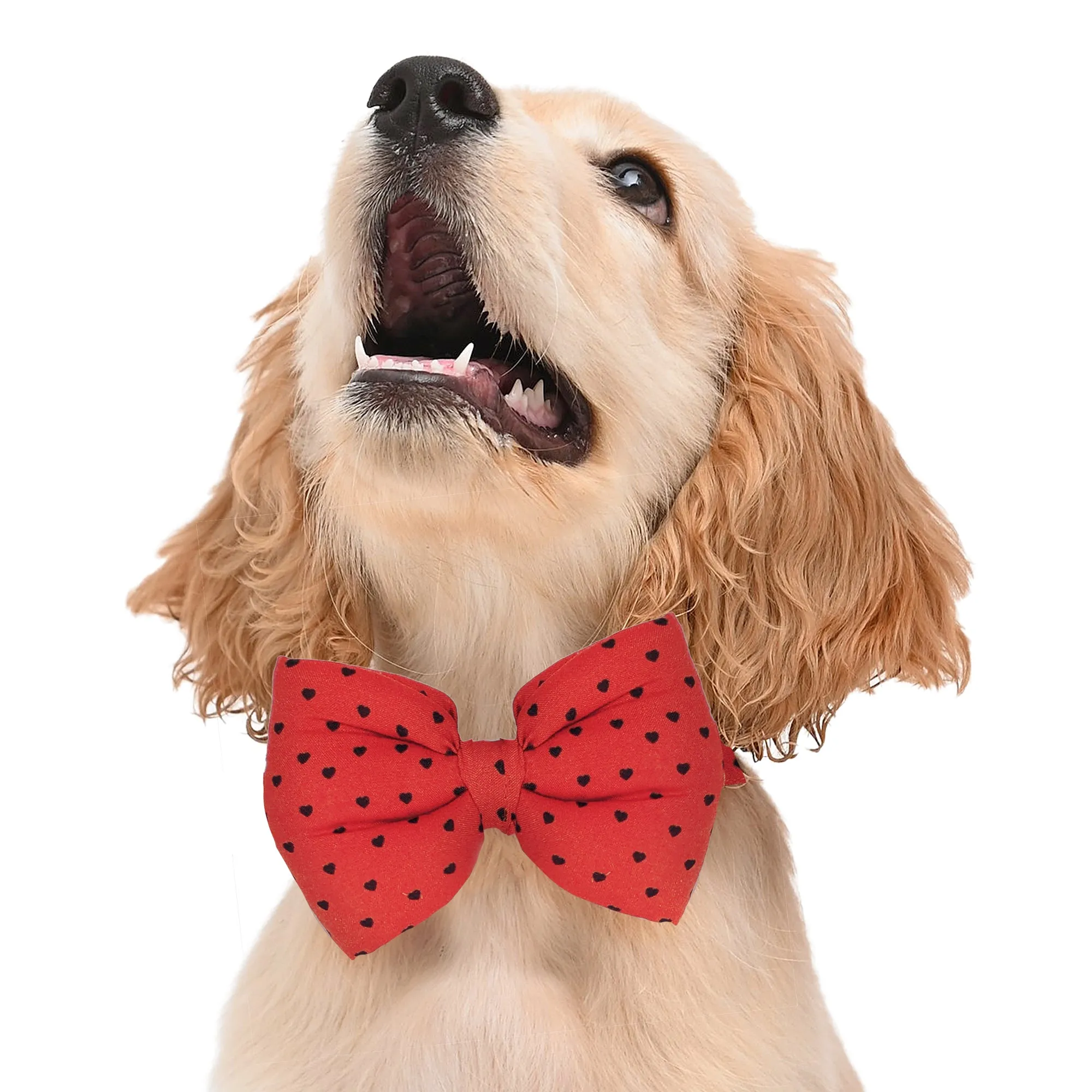 Matching Little Hearts Dog Shirt & Dog Bow Tie  | Adjustable Bow Tie for Dogs | Breathable Fabric Shirt for Dogs