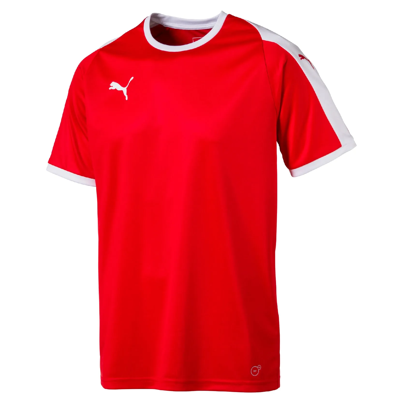 Puma Pitch Shortsleeved Jersey